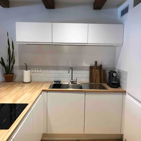 Exceptional Location Between And Pedestrian Street Apartment Annecy