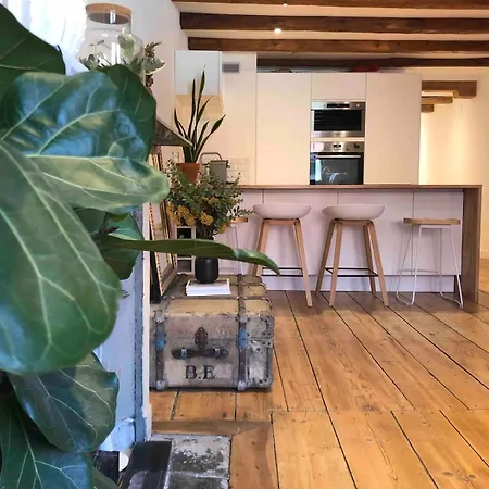Exceptional Location Between And Pedestrian Street Apartment