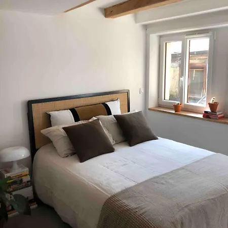 Exceptional Location Between And Pedestrian Street Apartment Annecy