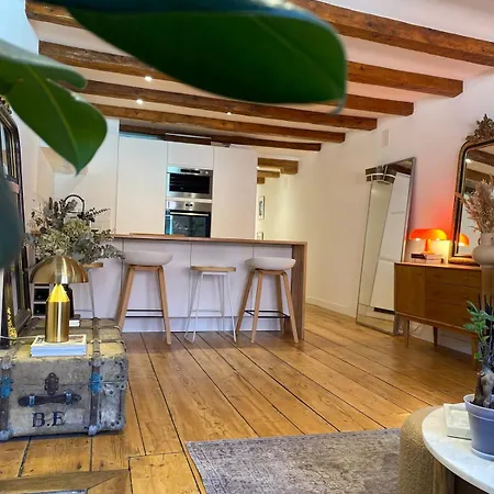 Exceptional Location Between And Pedestrian Street Apartment Annecy